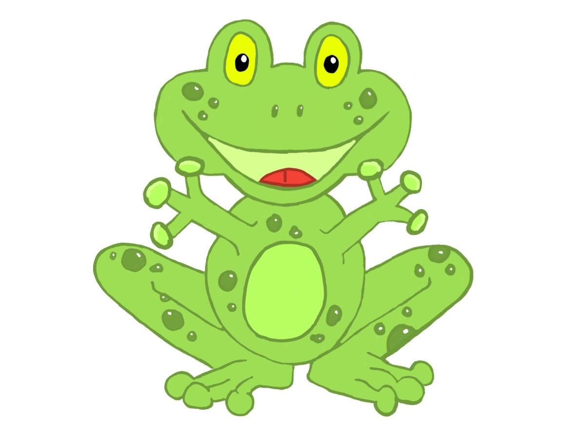 Froschgruppe